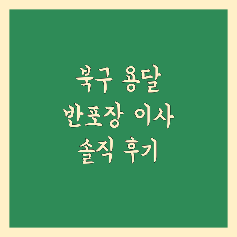 광주 북구 현지인이 선택한 반포장 이사 용달 안내 | 실제 이용 후기 포함