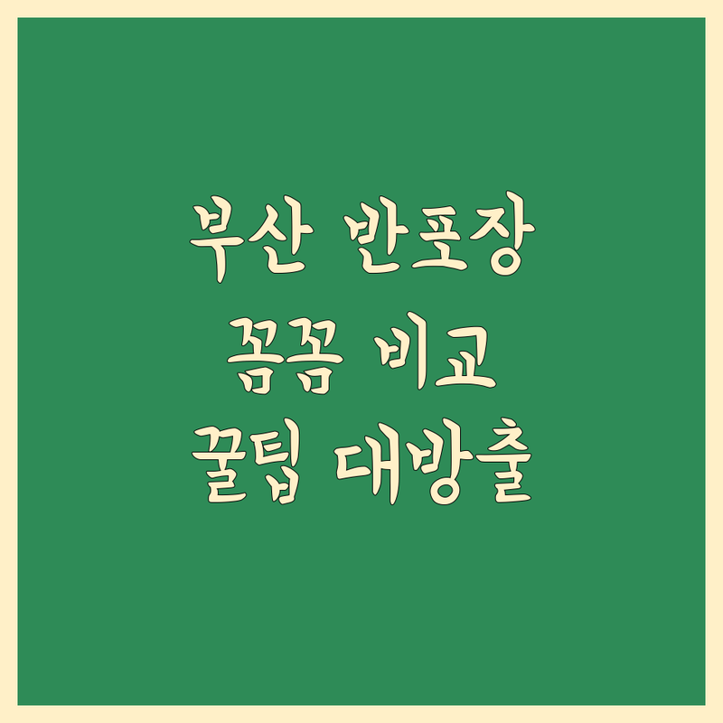 부산 반포장 이사, 꼼꼼 비교와 전문가 팁