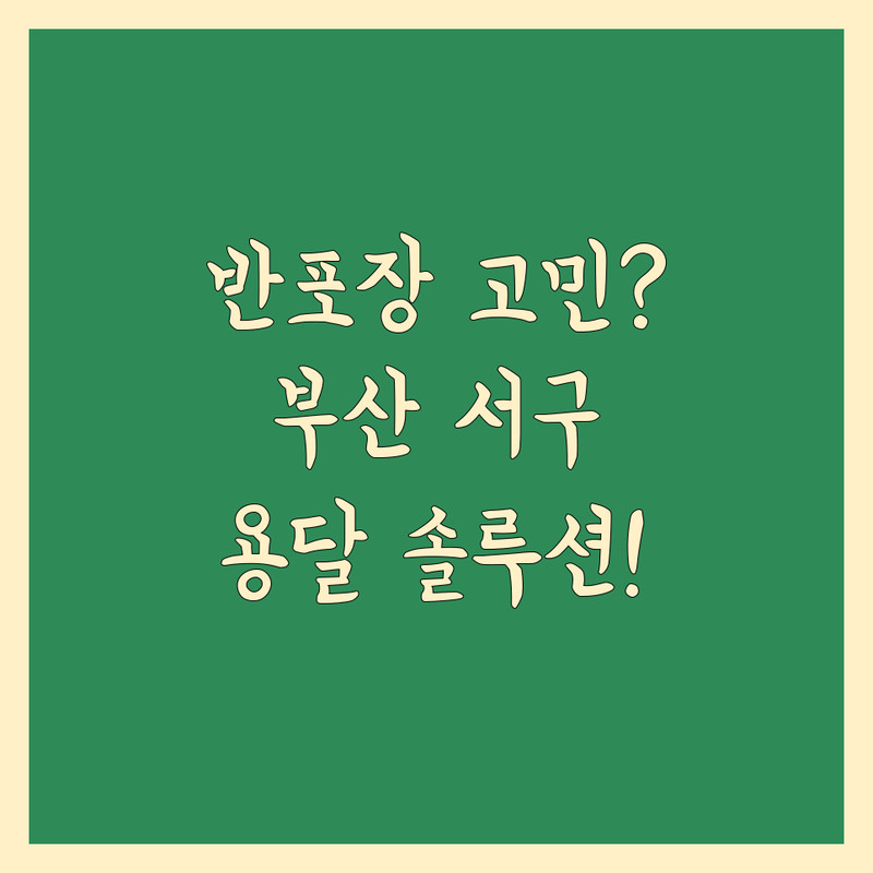 반포장 이사 고민 해결! 부산 서구 용달 솔루션 | 전문가가 알려주는 선택 팁