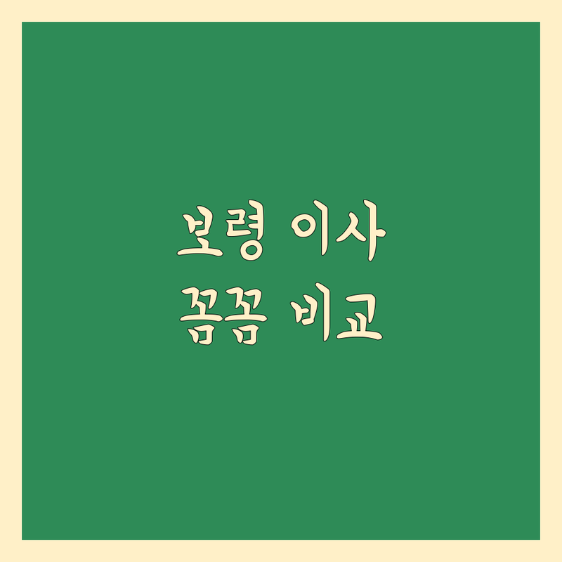 충남 보령시 일반이사 한눈에 비교 | 가격부터 서비스까지 완벽 분석